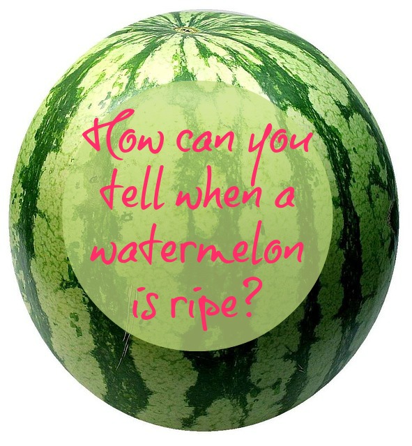 ripe watermelon