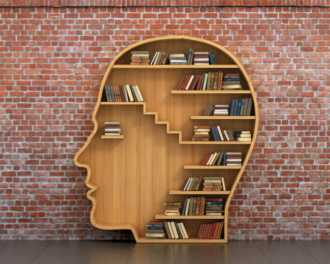 brain-bookshelf-650x519