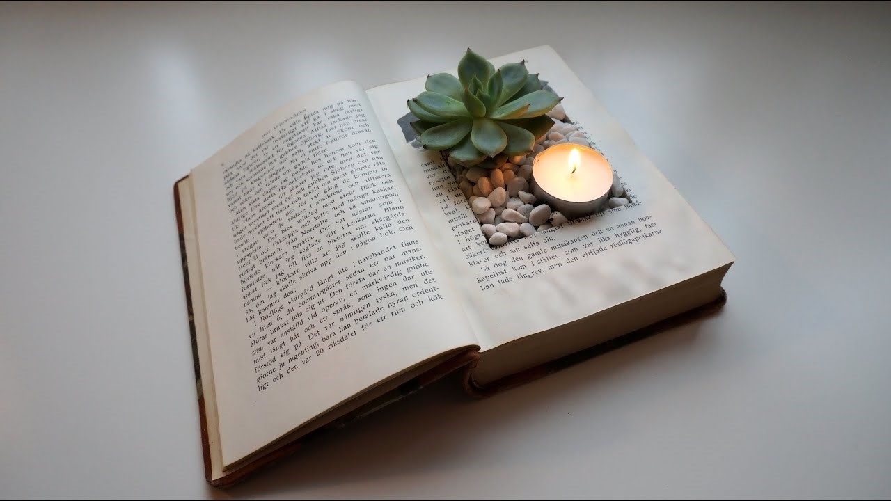 Book Succulents