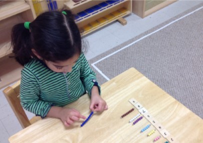 Montessori Counts