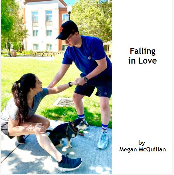 Falling in Love book cover image