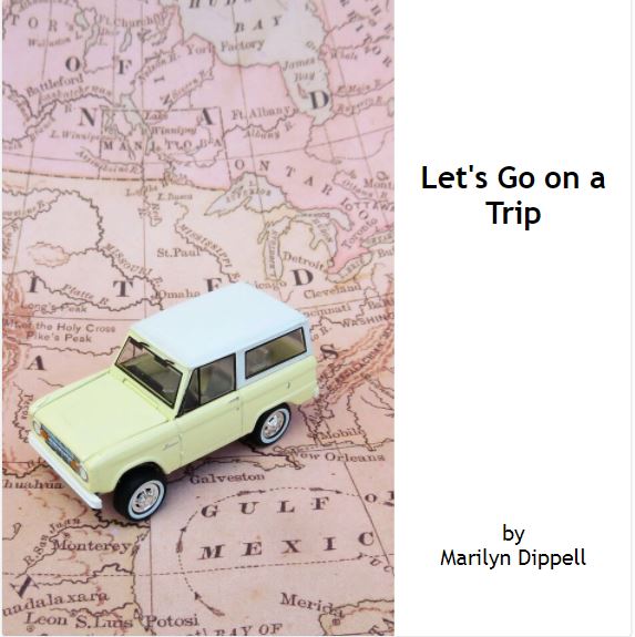 Let's Go on a Trip book cover image