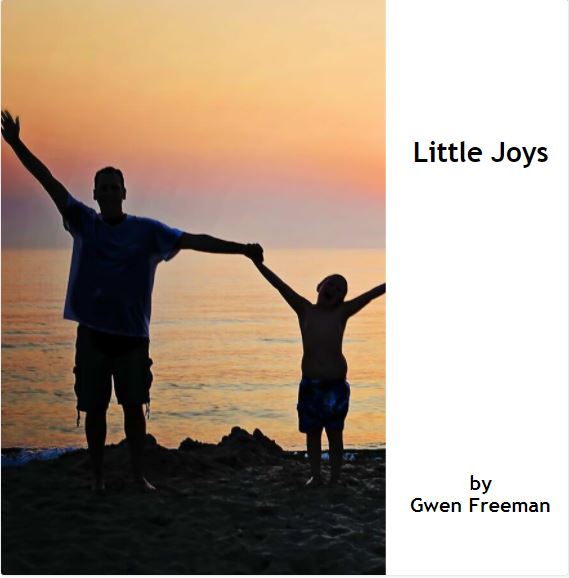 Little Joys book cover image