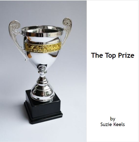 The Top Prize book cover image