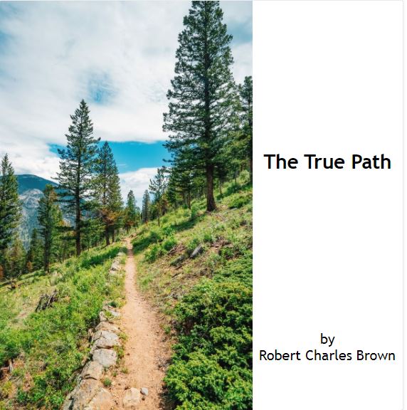 The True Path book cover image