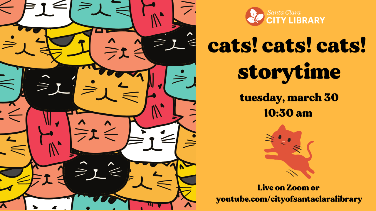 cats cats cats storytime