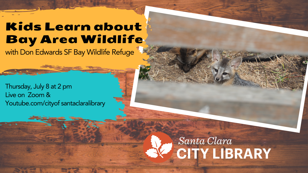 kids learn about bay area wildlife